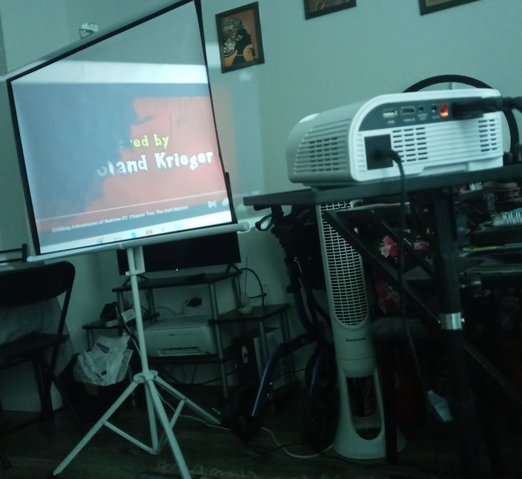 Projector Streaming Netflix Using HDMI To VGA Cable